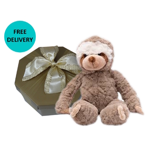 Sonny the Sloth in a Box