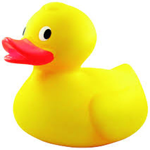 Rubber Duck