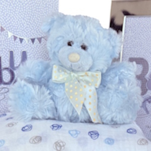 Sarah Bear