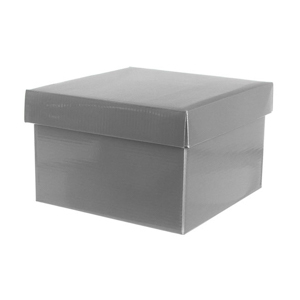 Silver Gift Box
