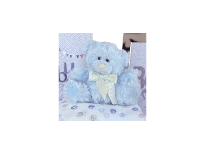 Sarah Bear